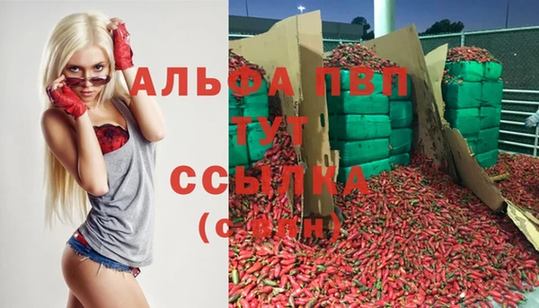 эйфоретик Арсеньев